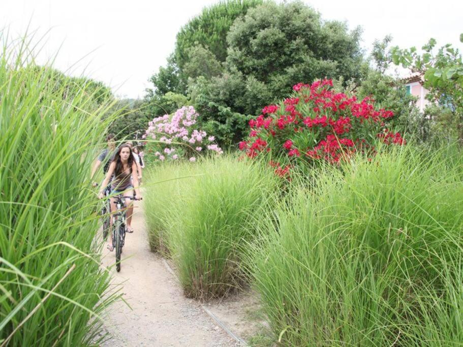 Les Restanques Bougainvillee 2051 Grimaud Dış mekan fotoğraf