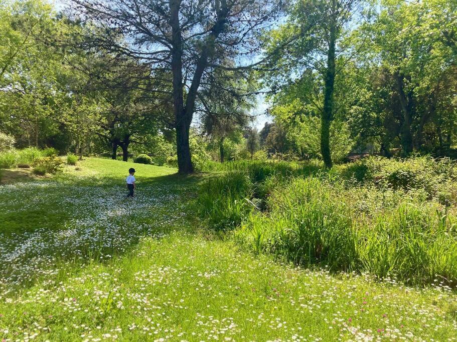 Les Restanques Bougainvillee 2051 Grimaud Dış mekan fotoğraf