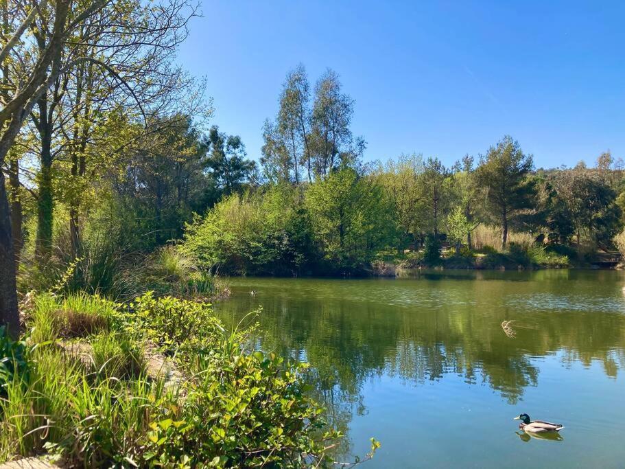 Les Restanques Bougainvillee 2051 Grimaud Dış mekan fotoğraf